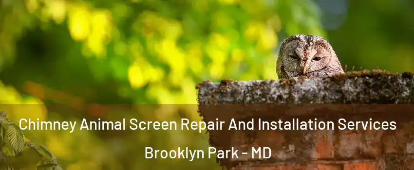  Chimney Animal Screen Repair And Installation Services Brooklyn Park - MD