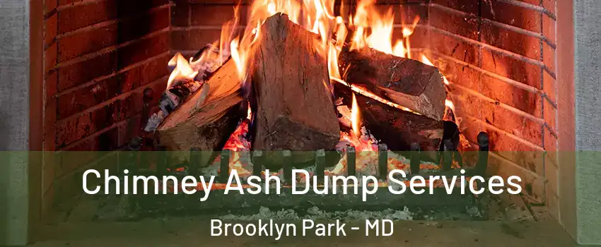  Chimney Ash Dump Services Brooklyn Park - MD
