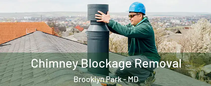  Chimney Blockage Removal Brooklyn Park - MD