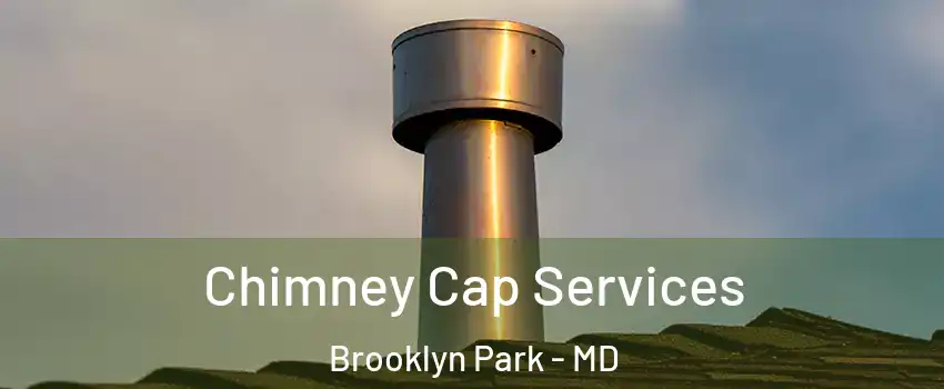  Chimney Cap Services Brooklyn Park - MD