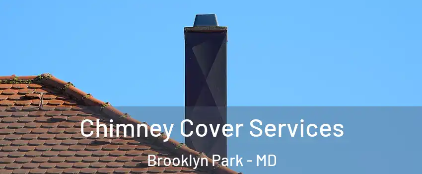  Chimney Cover Services Brooklyn Park - MD