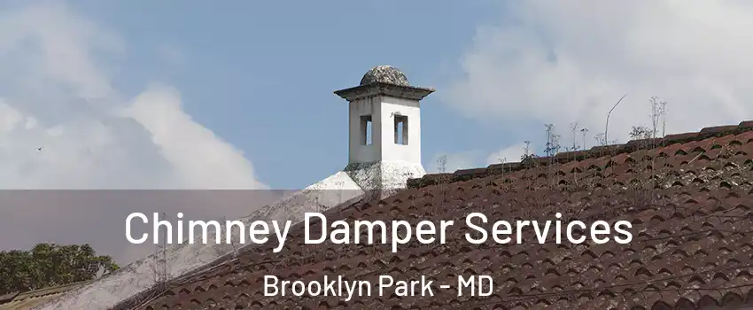  Chimney Damper Services Brooklyn Park - MD
