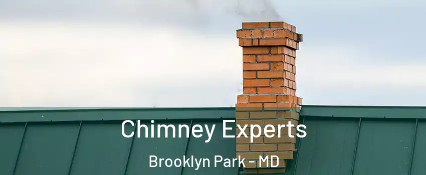 Chimney Experts Brooklyn Park - MD