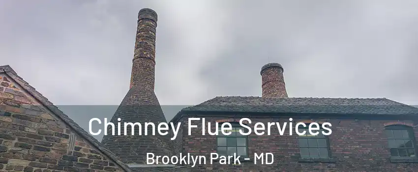  Chimney Flue Services Brooklyn Park - MD
