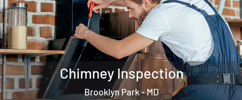  Chimney Inspection Brooklyn Park - MD