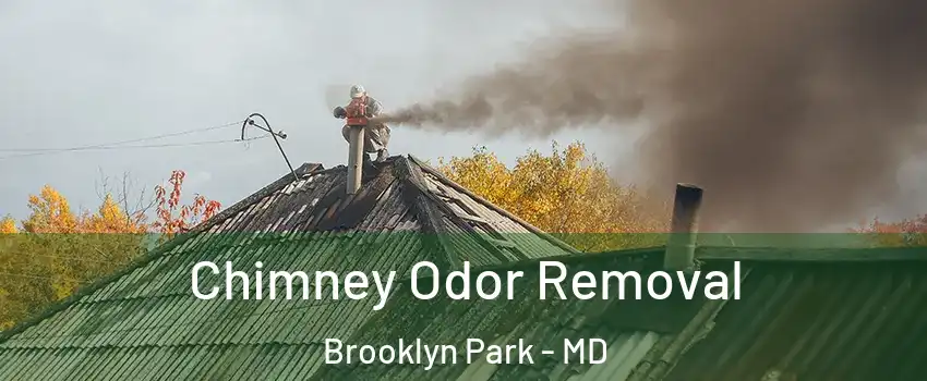  Chimney Odor Removal Brooklyn Park - MD