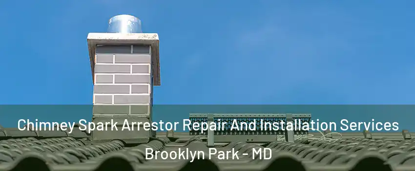  Chimney Spark Arrestor Repair And Installation Services Brooklyn Park - MD