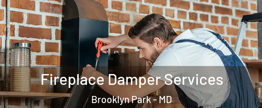  Fireplace Damper Services Brooklyn Park - MD