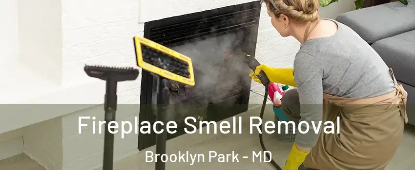  Fireplace Smell Removal Brooklyn Park - MD
