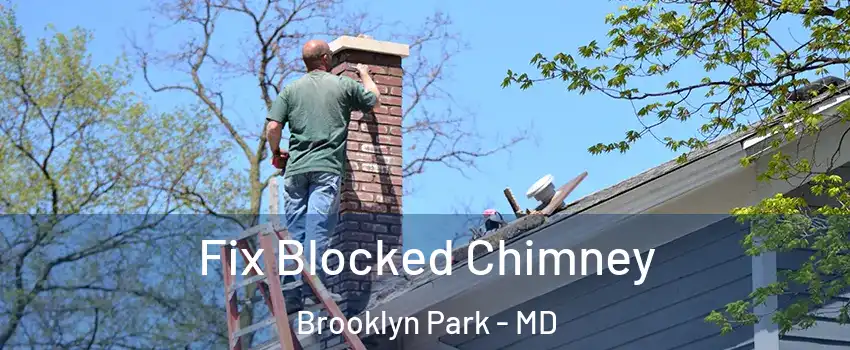  Fix Blocked Chimney Brooklyn Park - MD