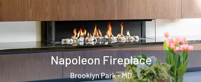 Napoleon Fireplace Brooklyn Park - MD