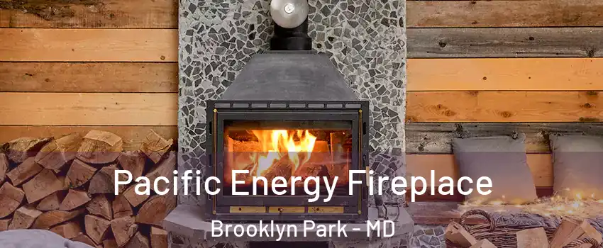  Pacific Energy Fireplace Brooklyn Park - MD